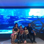 30725558_10215283109171875_584346947914039296_n