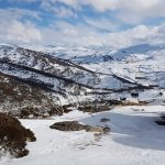 41423859_10156410614582324_6503157081208520704_o