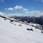 41509713_10156410613377324_2487499879358660608_o