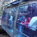 received_1024395331062985